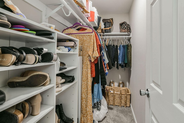 spacious closet featuring carpet