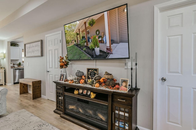 living room featuring light wood-type flooring