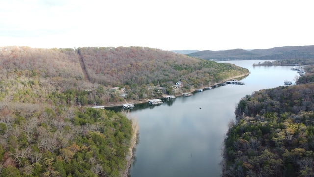 000 Buttermilk Springs Rd, Galena MO, 65656 land for sale