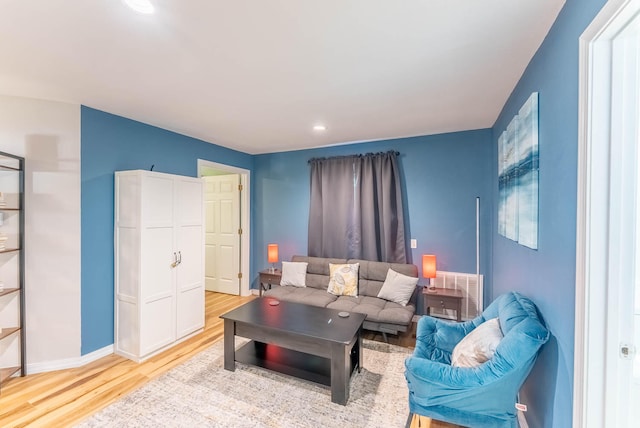 living room with wood-type flooring