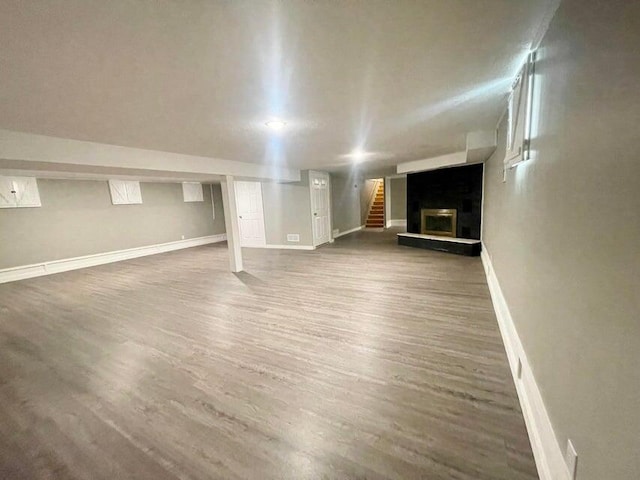 basement featuring dark hardwood / wood-style flooring