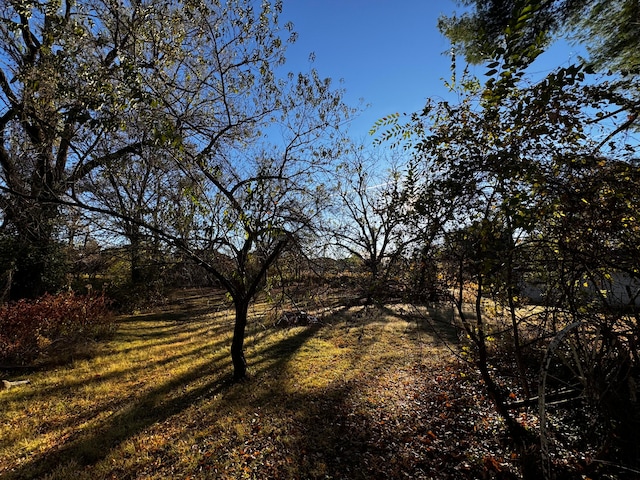 view of nature