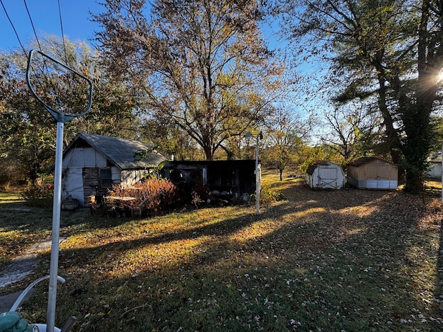 view of yard featuring a storage unit