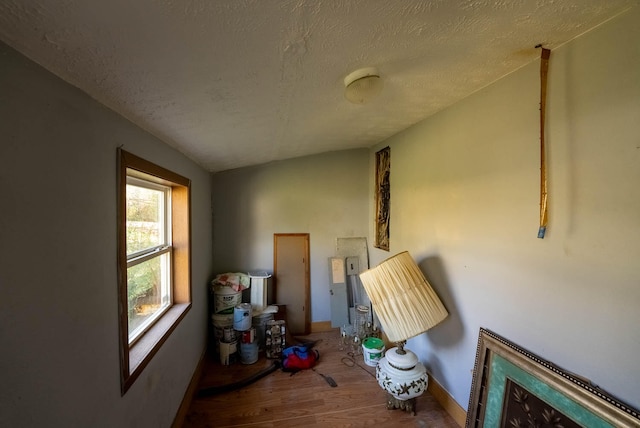 miscellaneous room with hardwood / wood-style floors, vaulted ceiling, and a textured ceiling