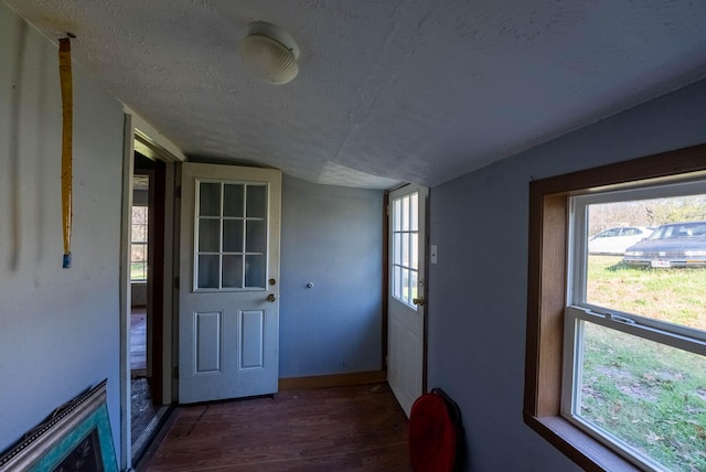 entryway with plenty of natural light and lofted ceiling