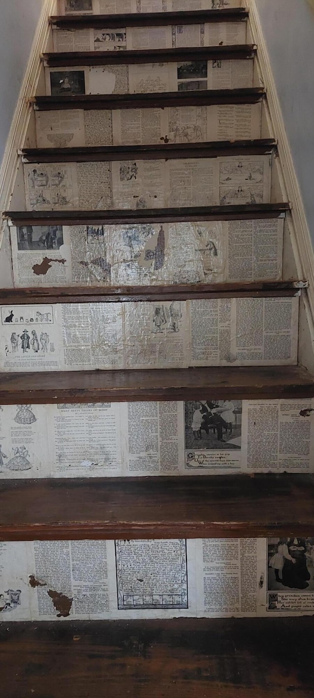 stairs with hardwood / wood-style flooring