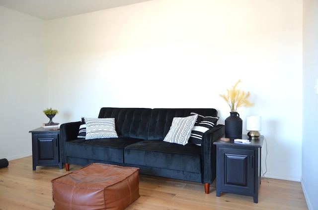 living room with light hardwood / wood-style floors