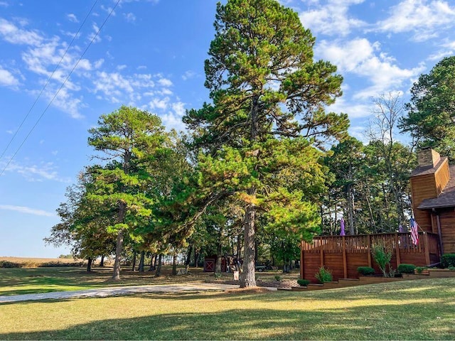 view of yard featuring a wooden deck