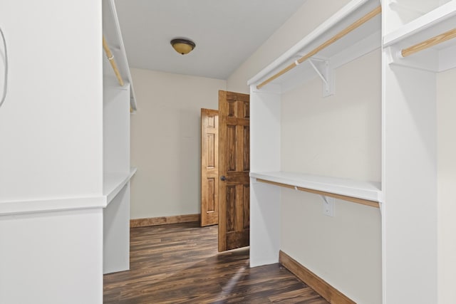 spacious closet featuring dark hardwood / wood-style flooring