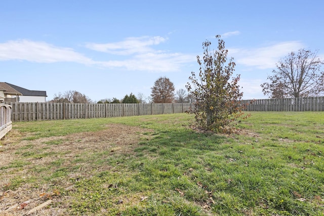 view of yard