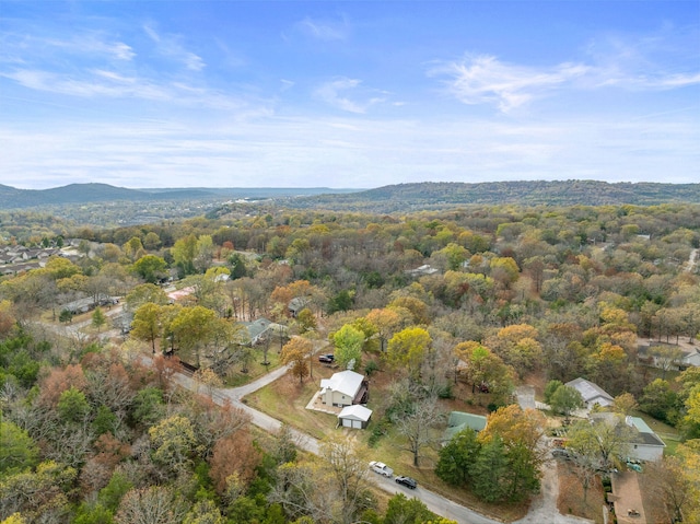 bird's eye view featuring a mountain view