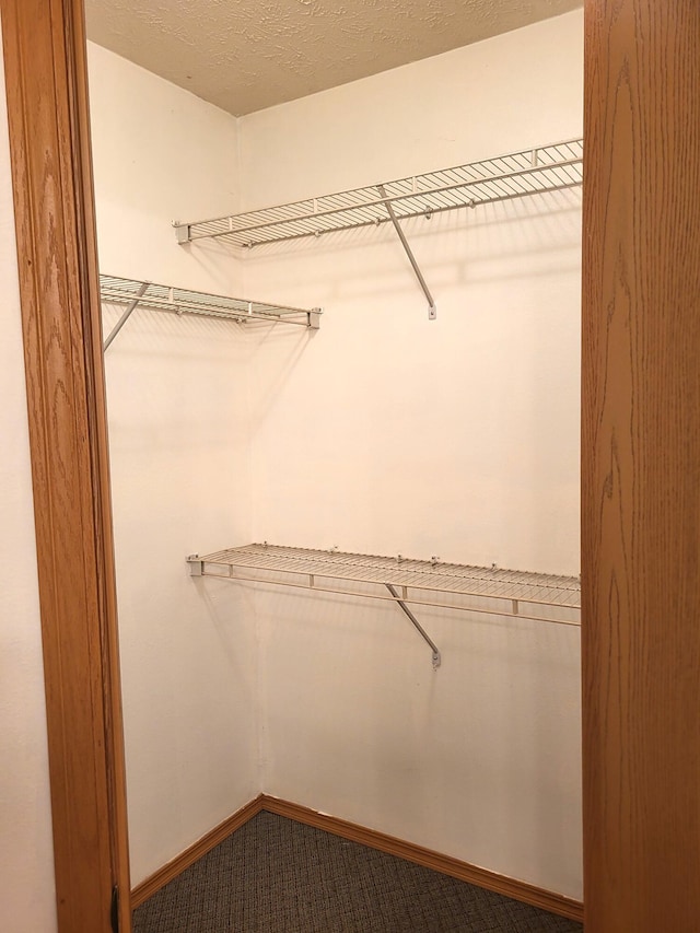 spacious closet with carpet floors