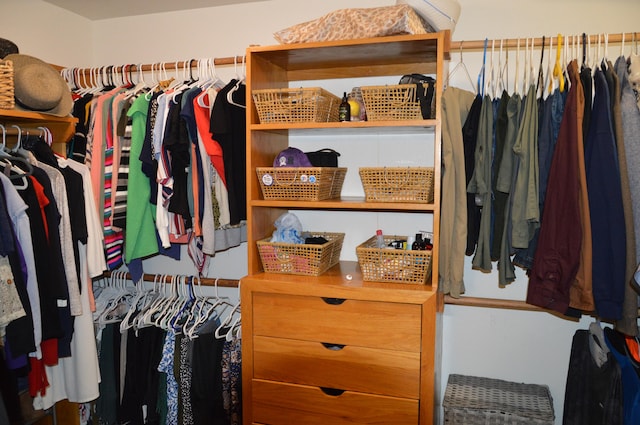 view of walk in closet