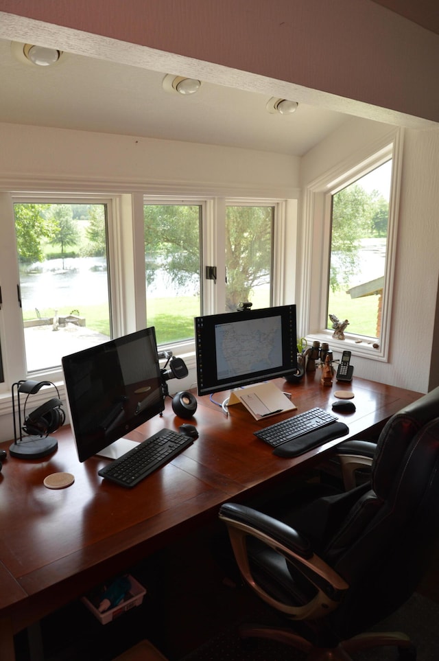 home office featuring a wealth of natural light and hardwood / wood-style flooring