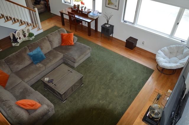 living room featuring hardwood / wood-style floors and a healthy amount of sunlight