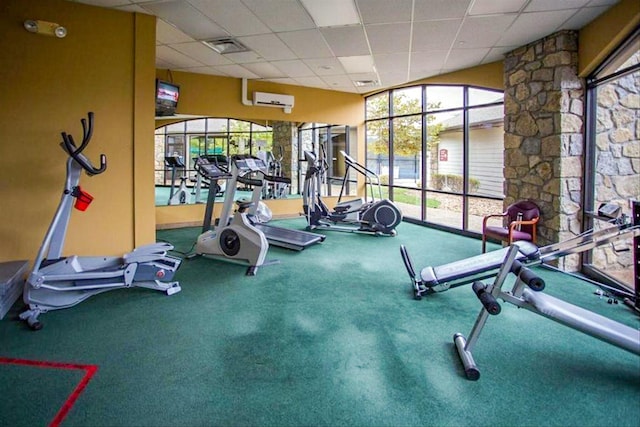 gym featuring carpet flooring, a paneled ceiling, and an AC wall unit