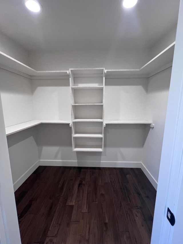 walk in closet featuring dark wood-style floors