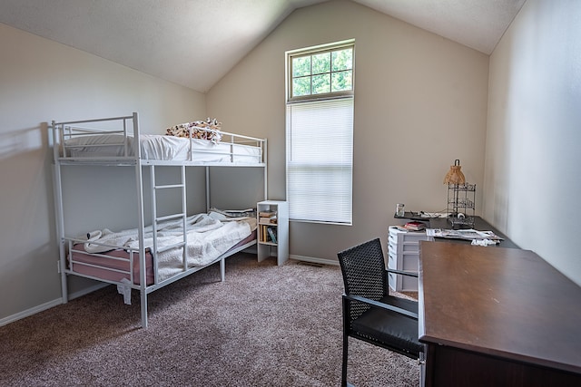 bedroom with carpet and lofted ceiling