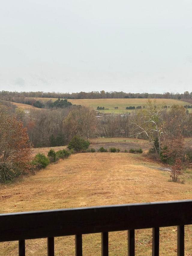 view of yard with a rural view