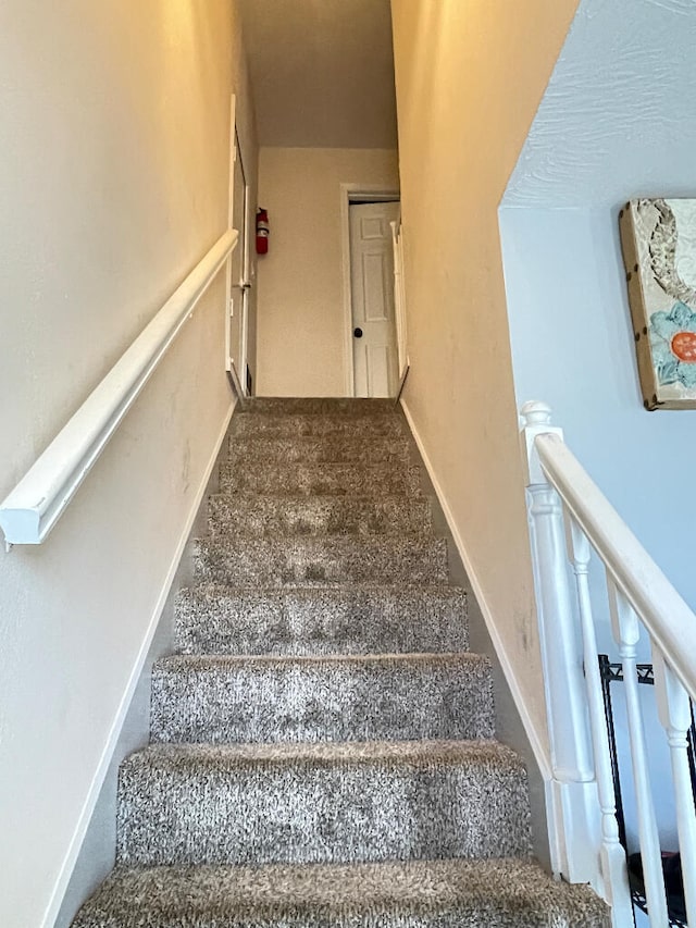 stairway with carpet flooring