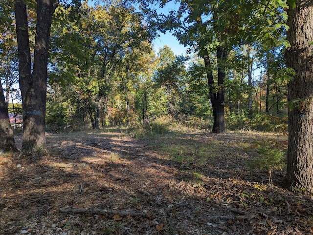 Listing photo 2 for 000 Mc Cord Bend Rd, Galena MO 65656