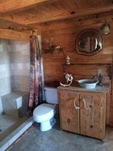 bathroom featuring vanity, curtained shower, toilet, and wooden walls