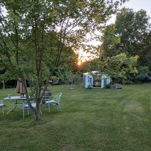 view of yard with a shed