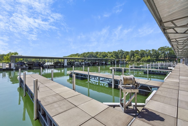 dock area with a water view