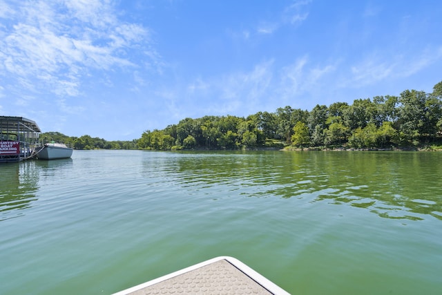 view of water feature with a dock