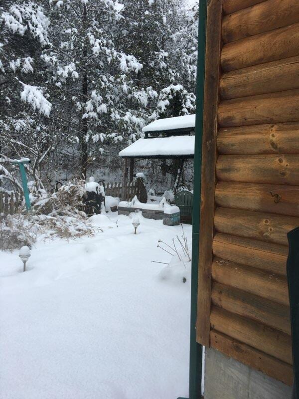 view of yard covered in snow