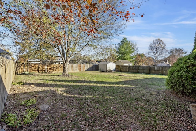 view of yard featuring a storage unit