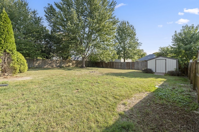 430 S Yellowwood Dr, Springfield, MO 65809 - view of yard