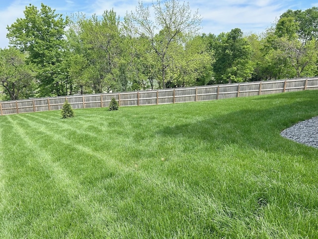 2979 E Kemmling Ln, Springfield, MO 65804 - view of yard