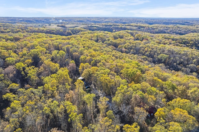 aerial view