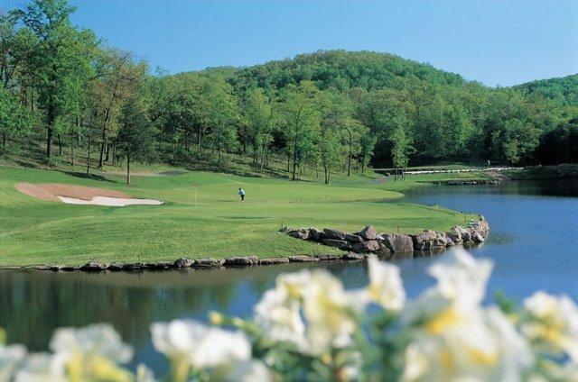 311 Cedar Glade Dr, Branson West, MO 65737 - view of home's community with a water view, a yard, and view of golf course