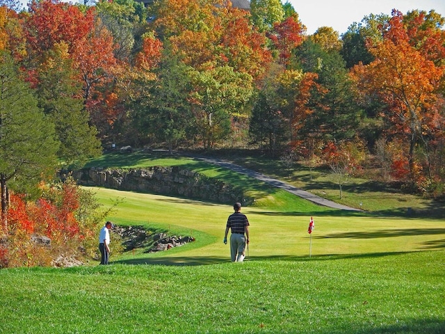 view of home's community with a yard