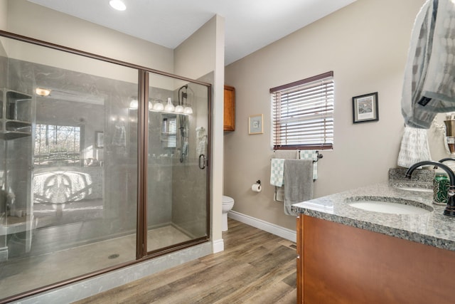 bathroom with walk in shower, vanity, wood-type flooring, and toilet