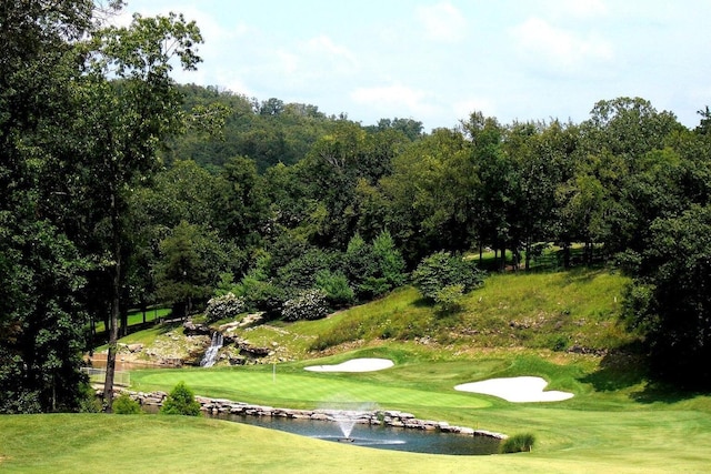 311 Cedar Glade Dr, Branson West, MO 65737 - view of community with golf course view, a yard, and a water view