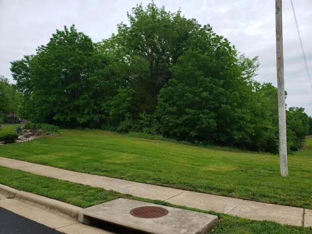 5396 S Woodfield Ave, Springfield, MO 65810 - photo 5