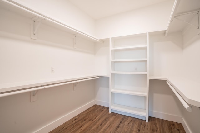 walk in closet featuring dark hardwood / wood-style floors