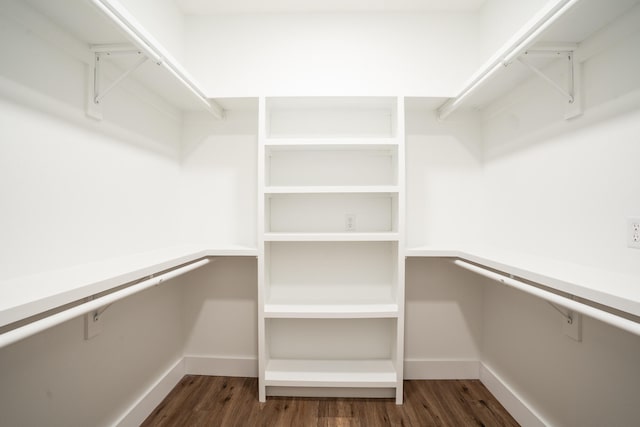 walk in closet featuring dark hardwood / wood-style floors