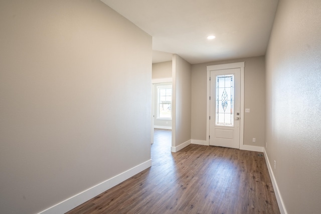 foyer featuring wood-type flooring