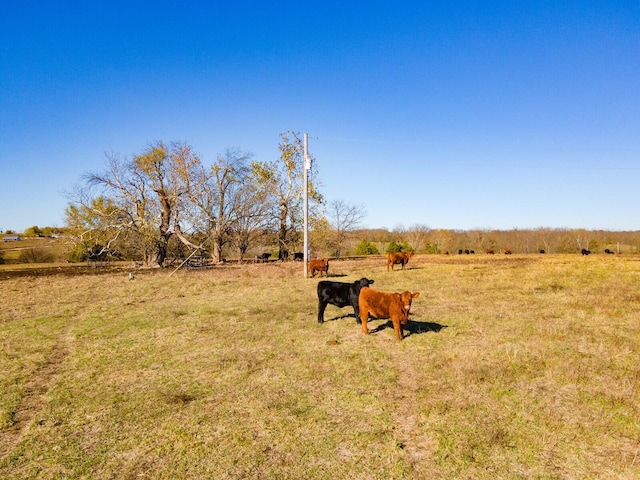 Listing photo 3 for Tbd 83 Highway, Wheatland MO 65779