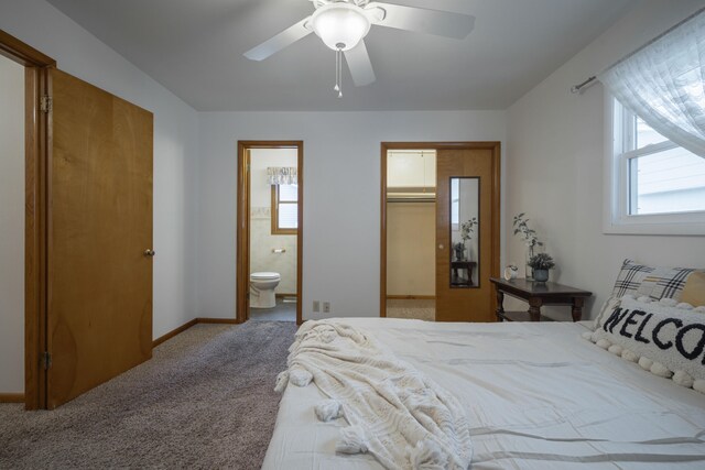 bedroom with a walk in closet, a closet, ceiling fan, and carpet floors