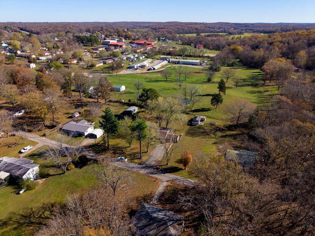 bird's eye view