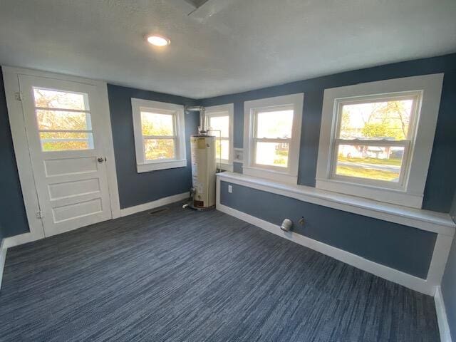 interior space with dark colored carpet and water heater