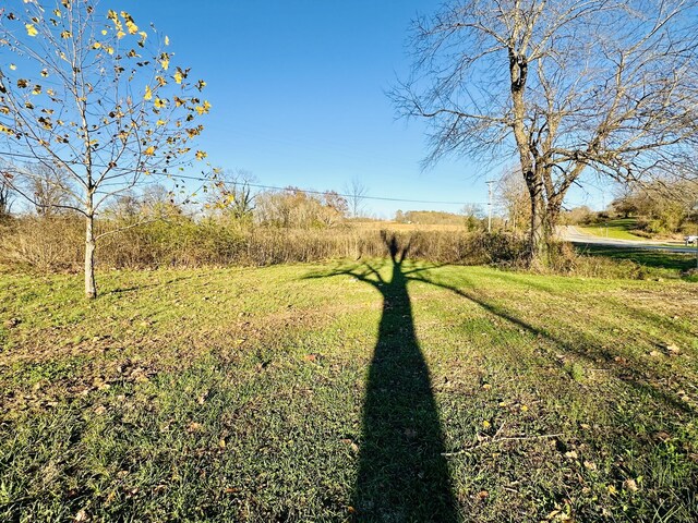 267 State Highway 142, Bakersfield, MO 65609 - photo 68