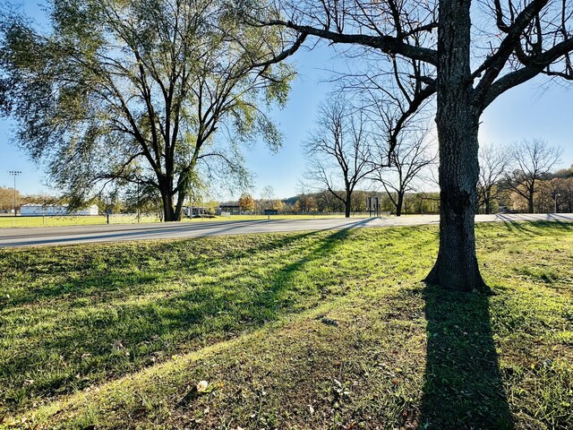 267 State Highway 142, Bakersfield, MO 65609 - photo 65