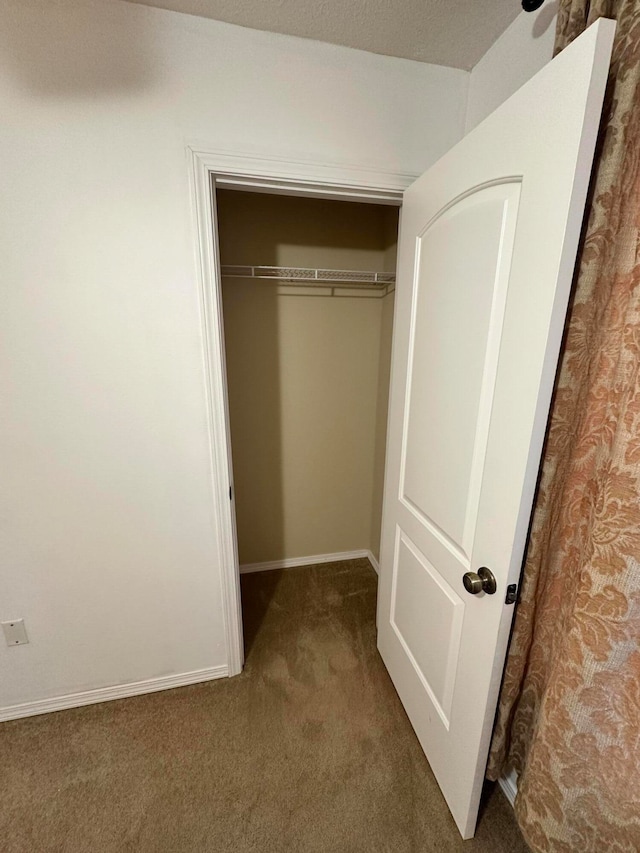 view of closet