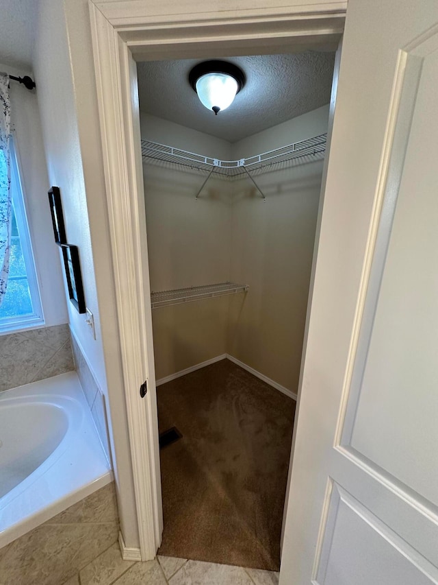 walk in closet with light colored carpet